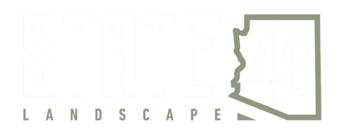 State48 Landscape